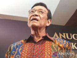 Sultan HB X tegaskan penjudi online tidak punya peluang menang