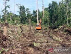 Apel Green: Kerusakan hutan gambut di Rawa Tripa Aceh capai 608,81 Ha